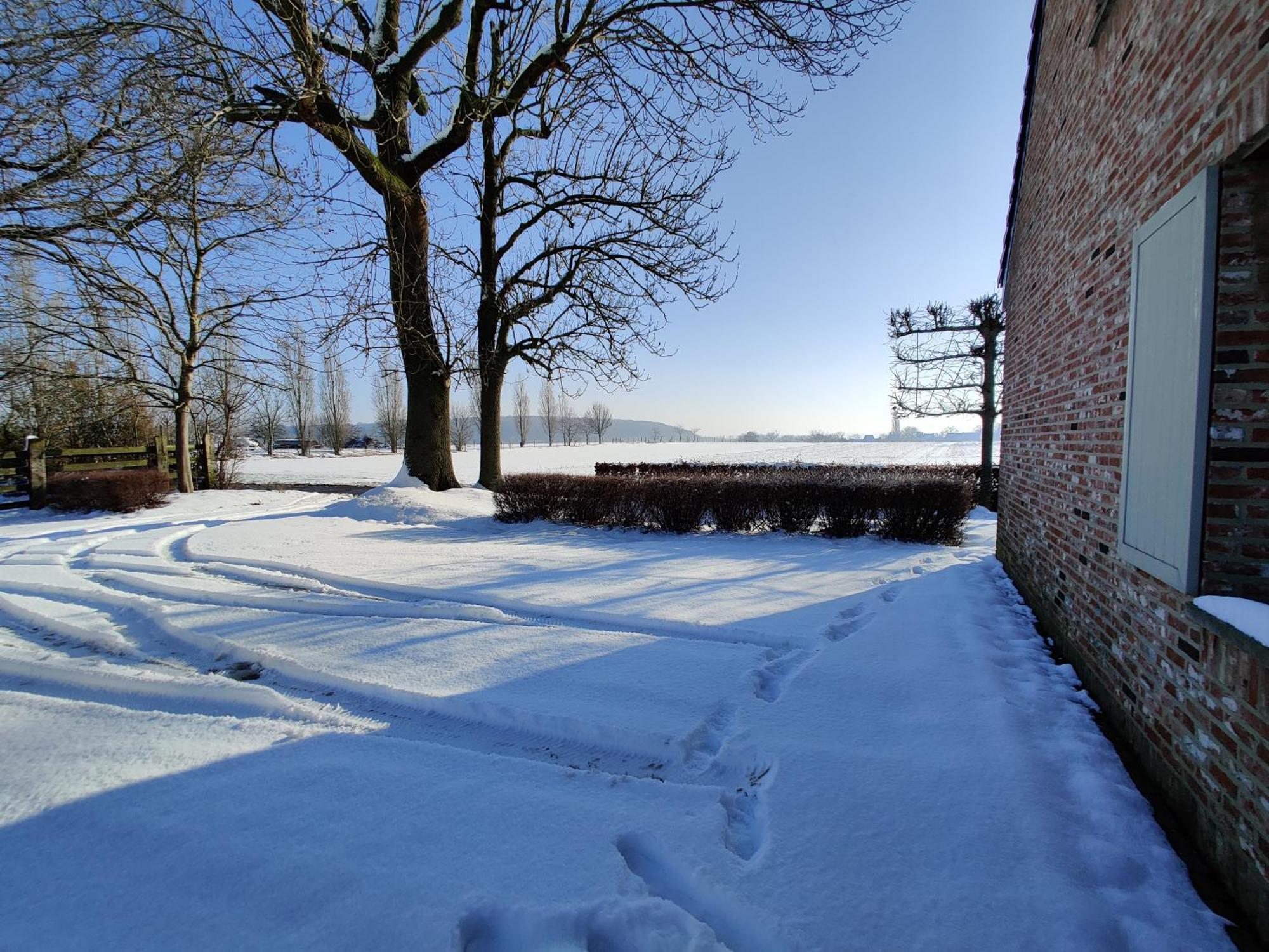 The Horst Cottage Holsbeek Екстериор снимка